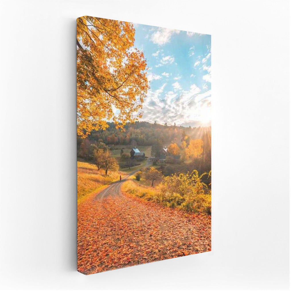 Vermont's Golden Autumn: The Charm of the American Countryside