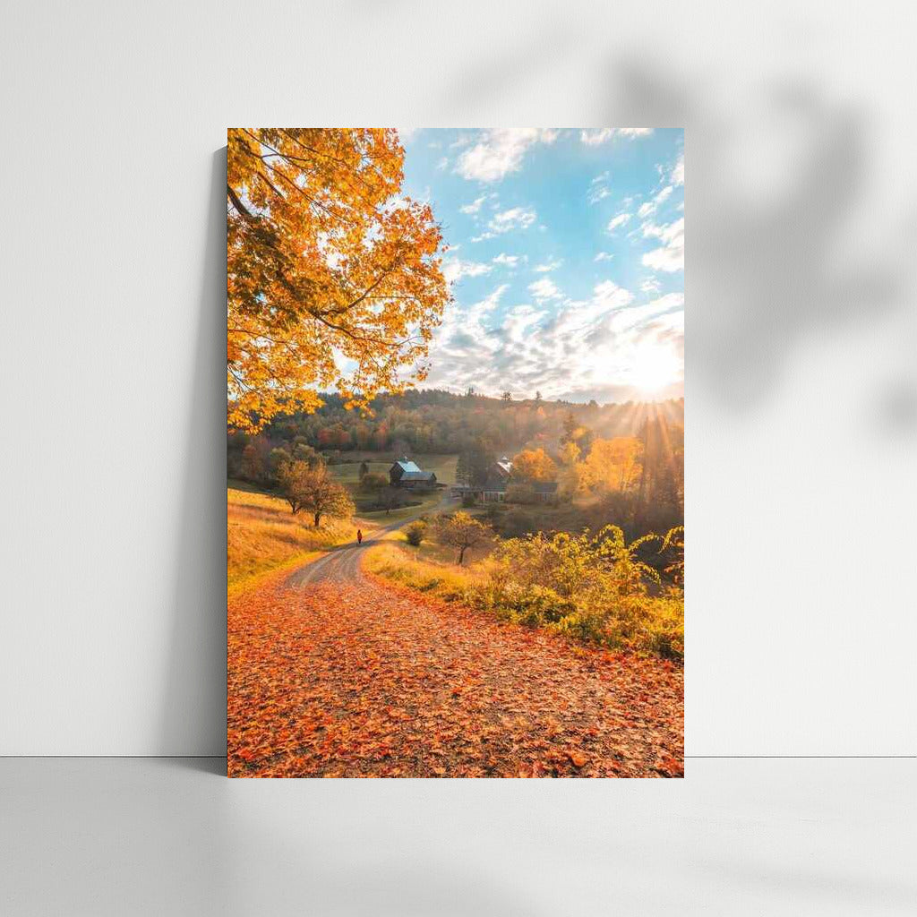 Vermont's Golden Autumn: The Charm of the American Countryside