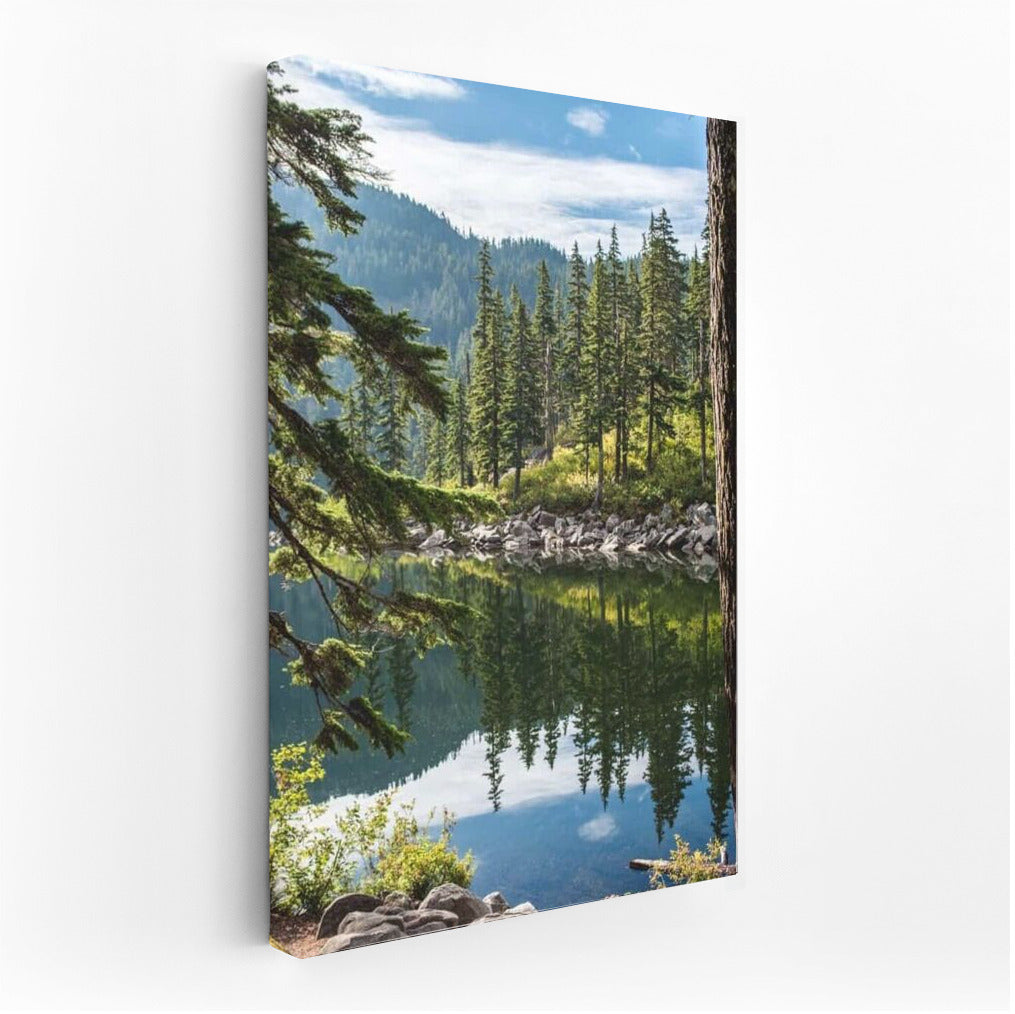 Washington's Wooded Lake: Harmony and Peace