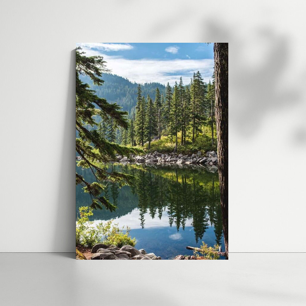 Washington's Wooded Lake: Harmony and Peace