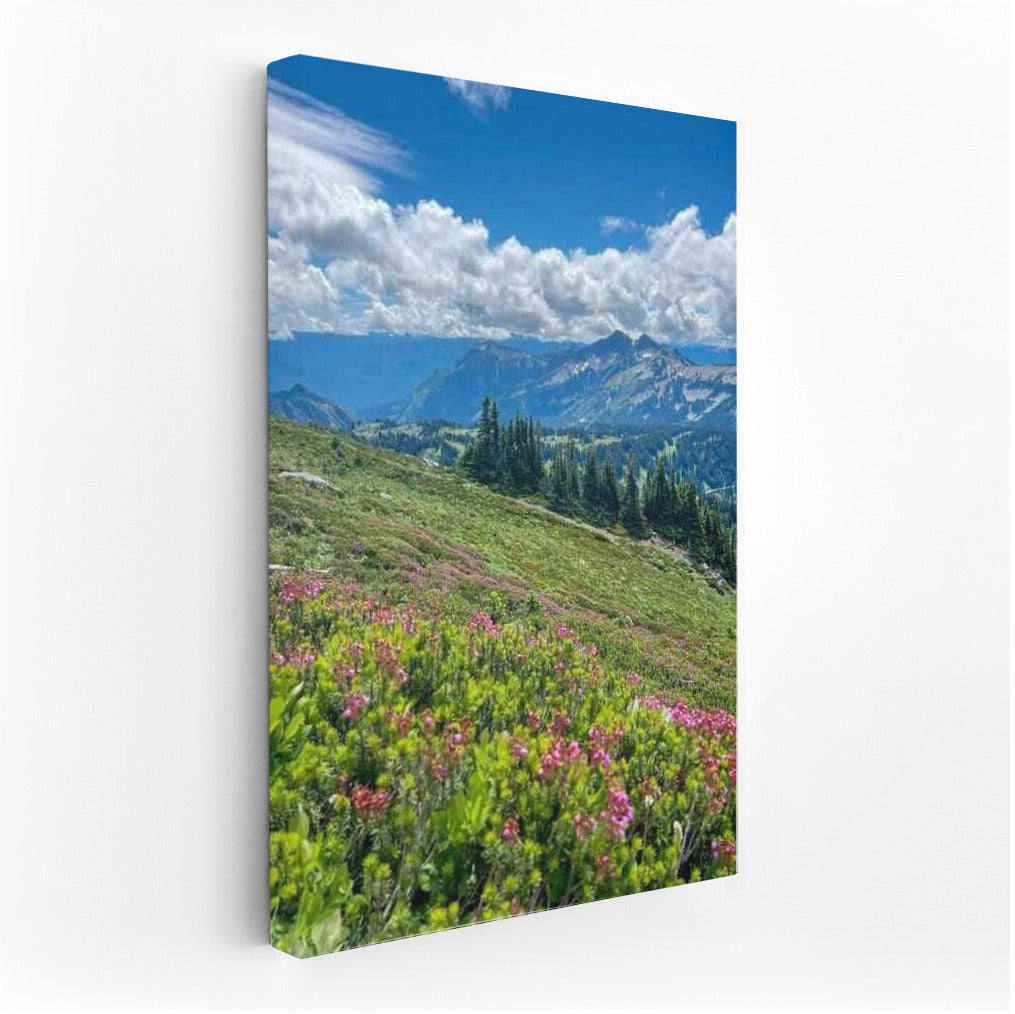 Washington's Serene Mountains: Blooming Meadows of the USA