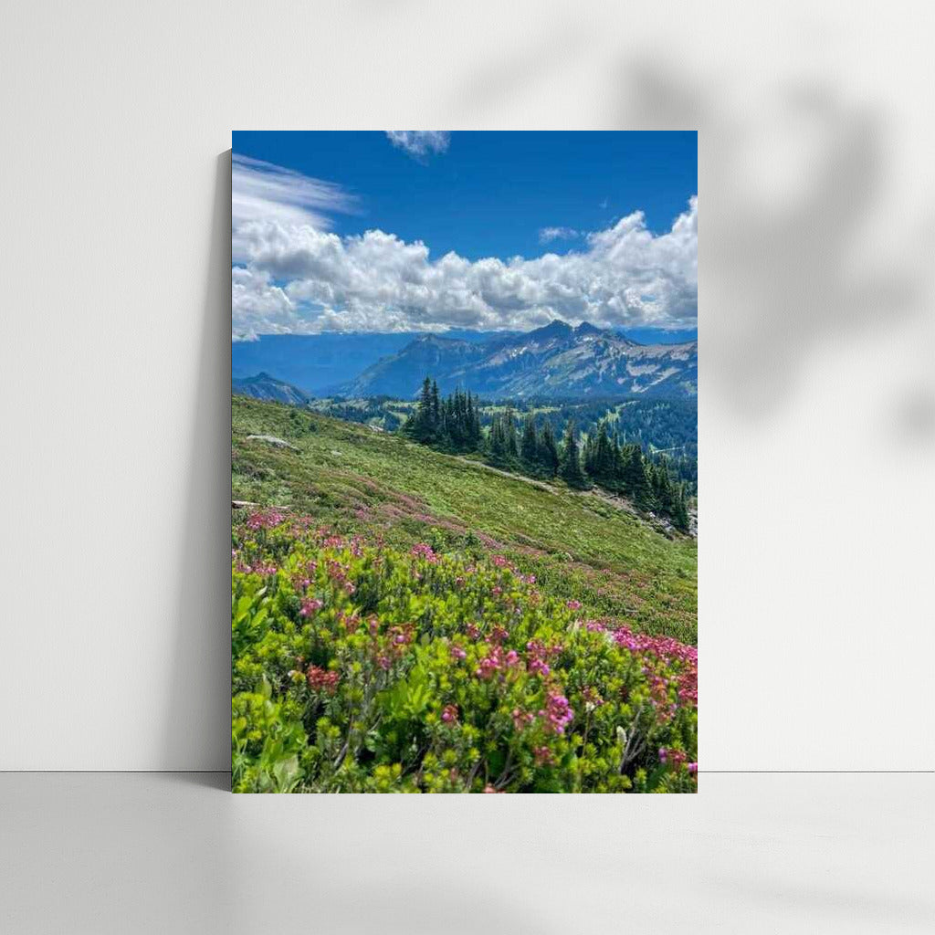 Washington's Serene Mountains: Blooming Meadows of the USA