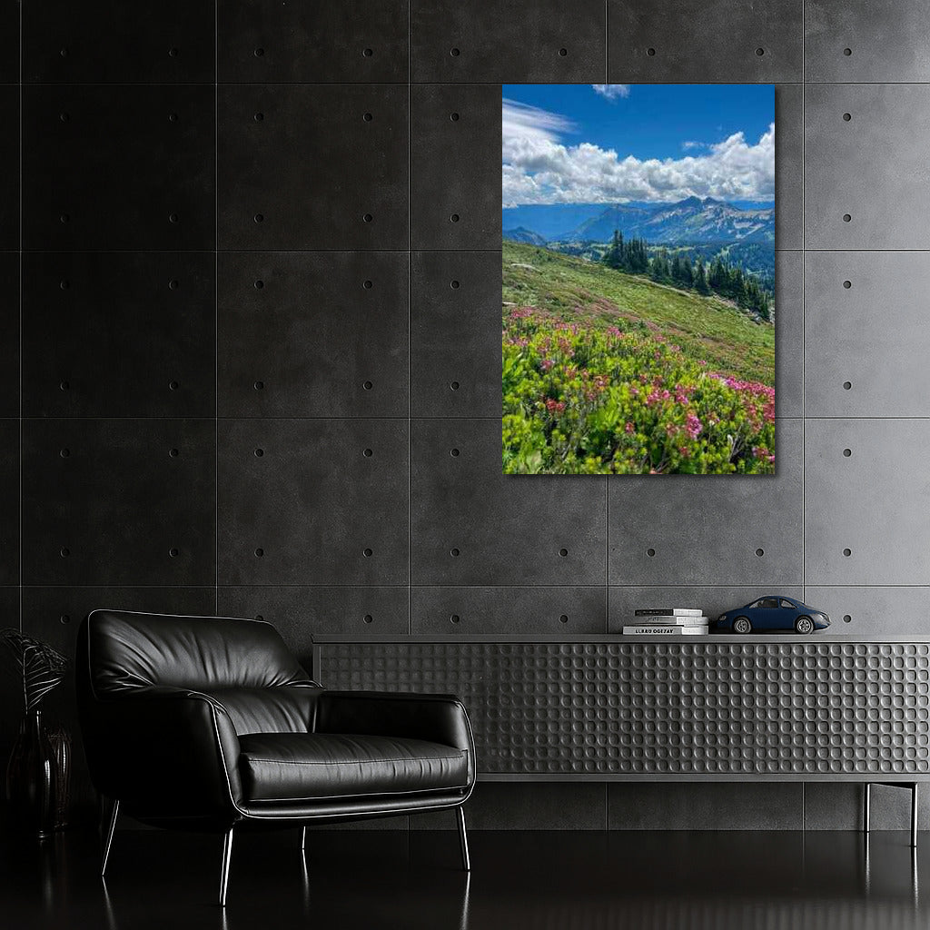 Washington's Serene Mountains: Blooming Meadows of the USA