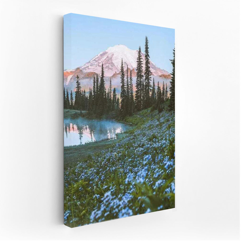 Morning Washington: Mountains and Forest in Bloom