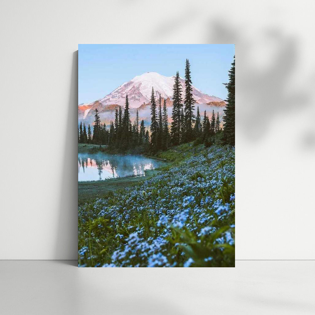 Morning Washington: Mountains and Forest in Bloom