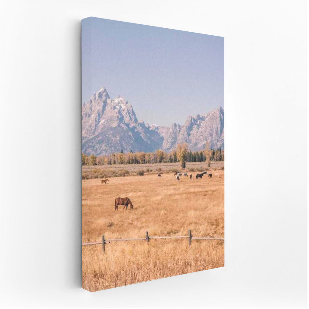 Wyoming's Greatness: Mountains, Prairie, and Free Horses