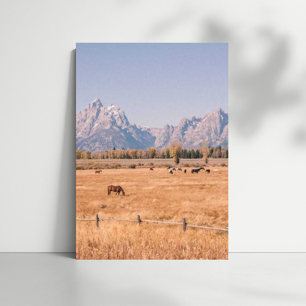 Wyoming's Greatness: Mountains, Prairie, and Free Horses