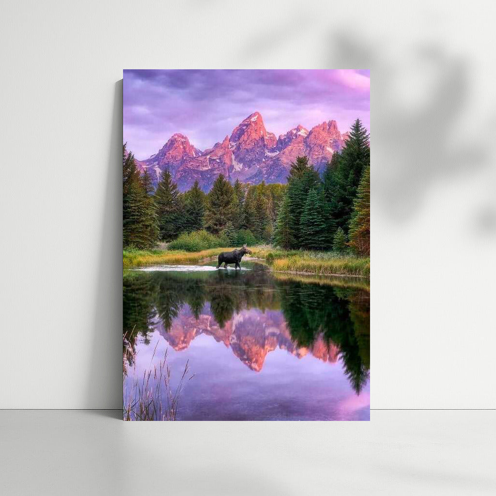 Wyoming's Majesty: Elk in the US Mountain Wilderness