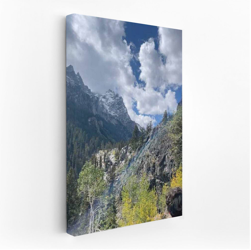 The Majesty of the Wyoming Mountains: Wildlife USA