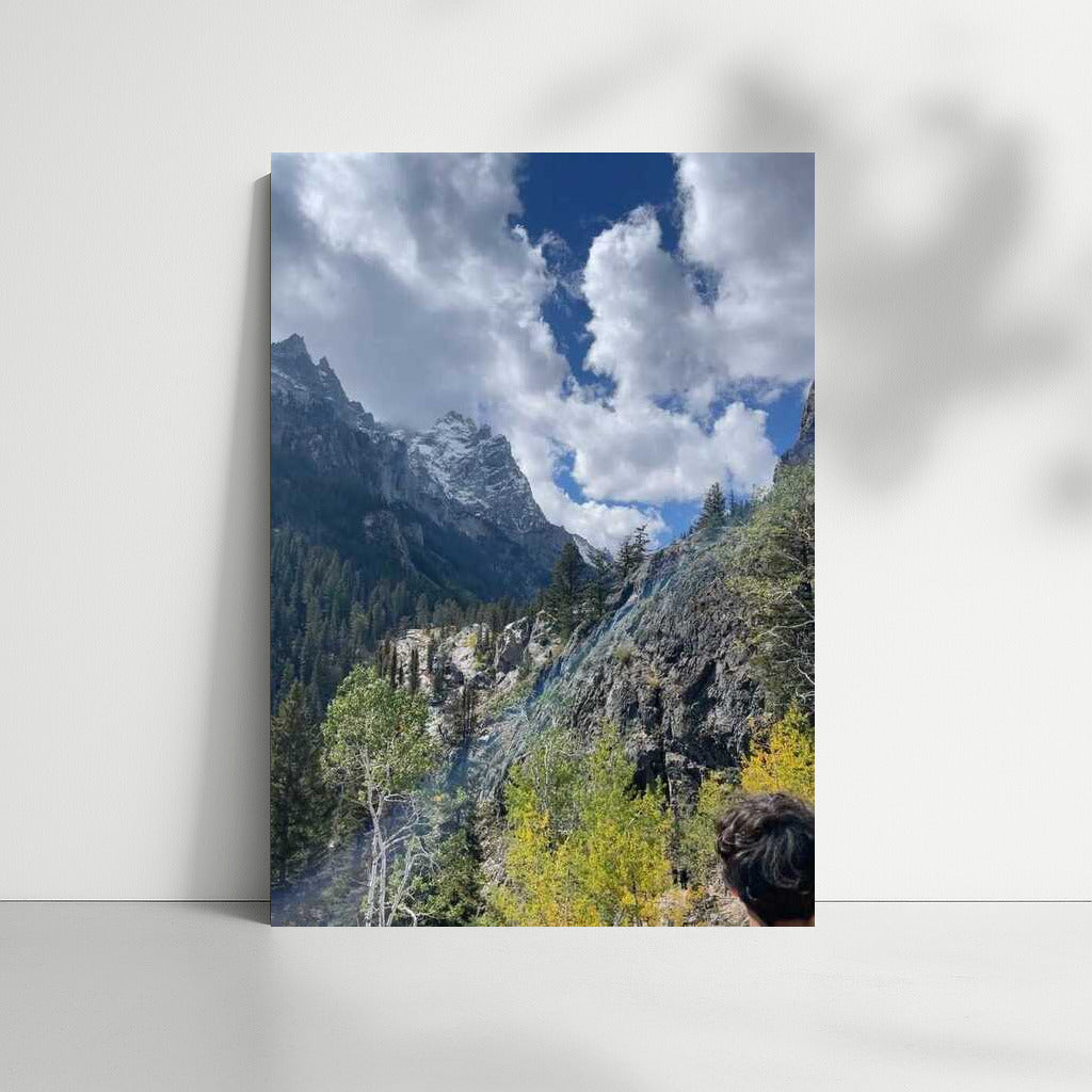 The Majesty of the Wyoming Mountains: Wildlife USA