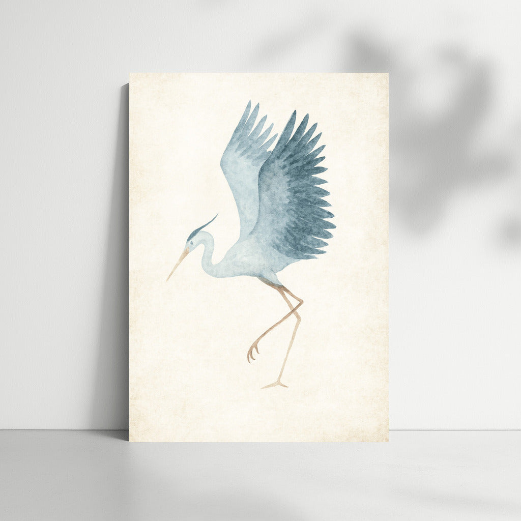 Grace of the Bird: Elegance and Lightness in the Interior