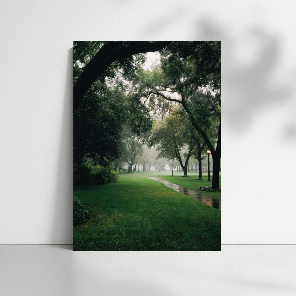 Misty Park: Winding Paths and Natural Architecture