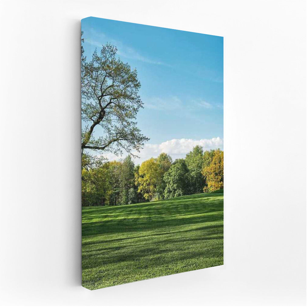 Architectural Oasis: The Freshness of Park Space