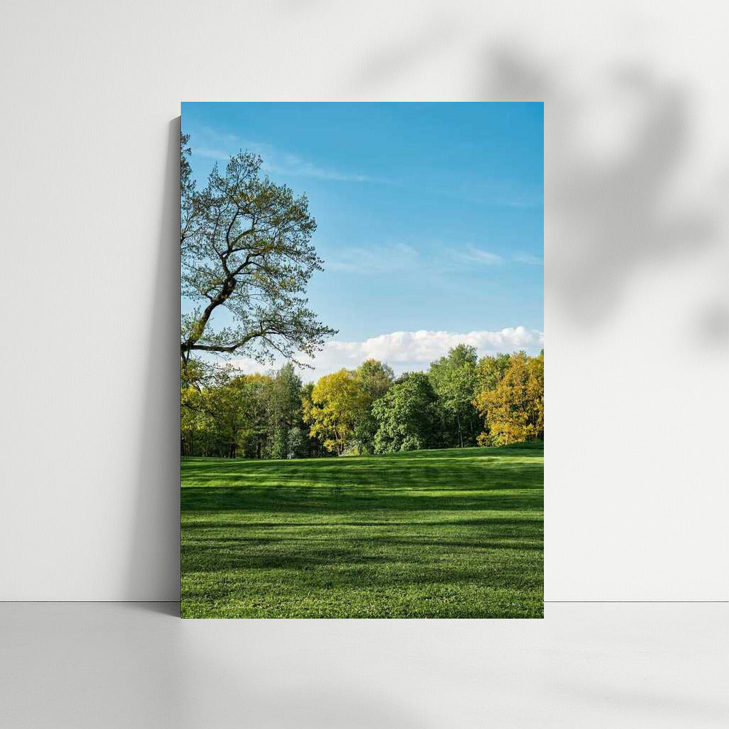 Architectural Oasis: The Freshness of Park Space