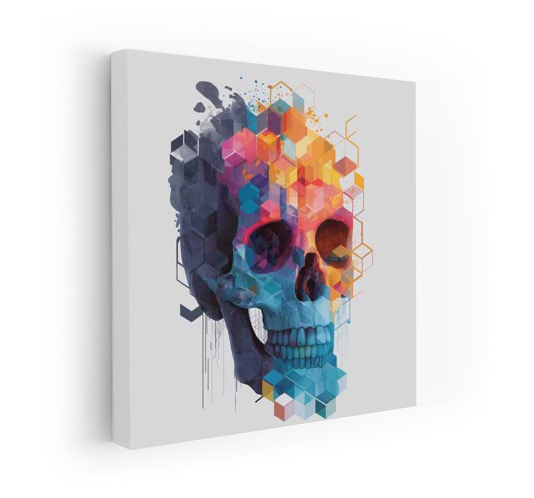 Skull Geometry: A Vivid Transition Between Reality and Fantasy
