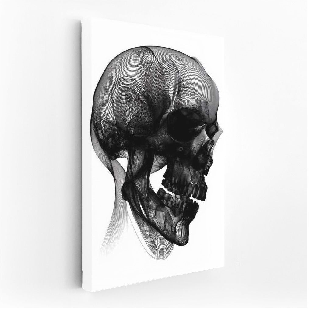 Mysterious Skull: A Subtle Play of Lines
