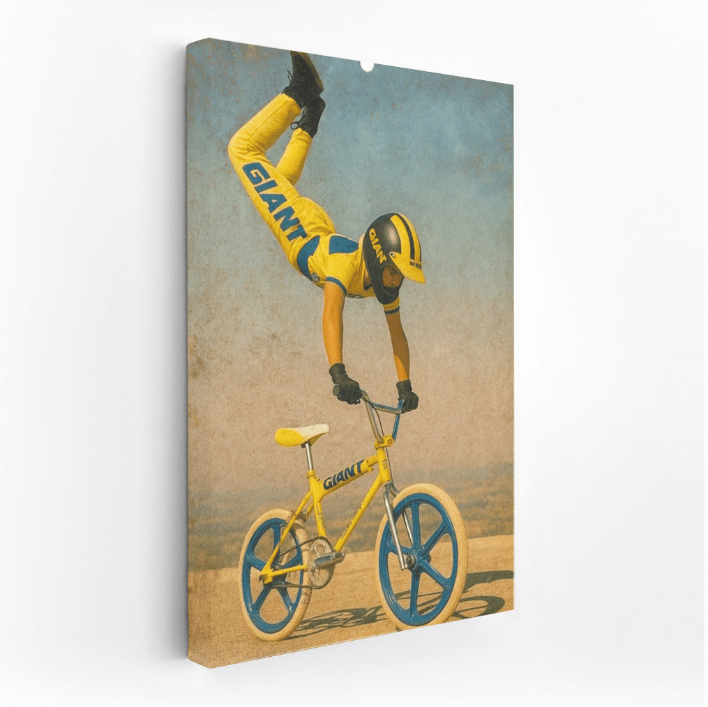 Dynamics of Extreme: BMX Flight