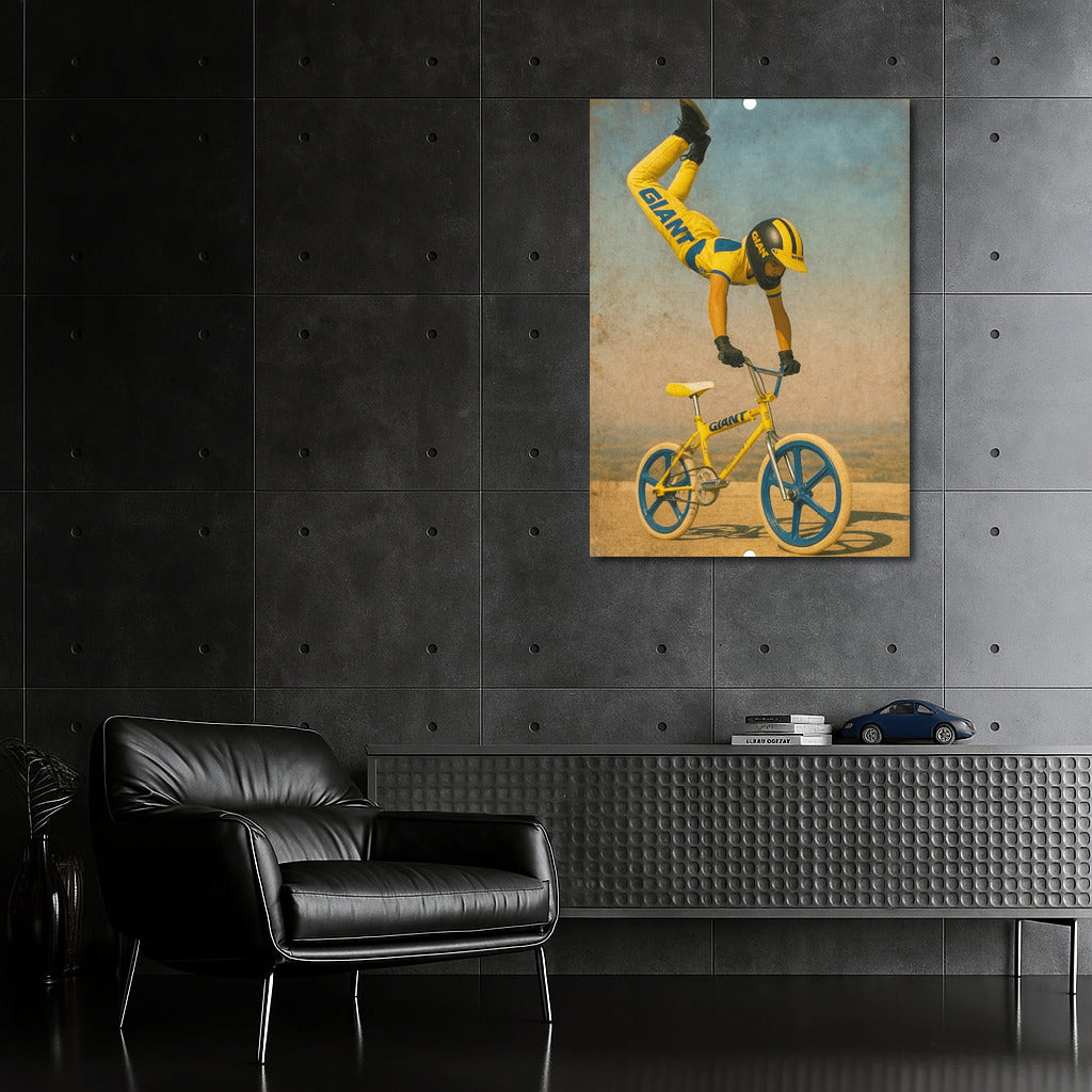 Dynamics of Extreme: BMX Flight