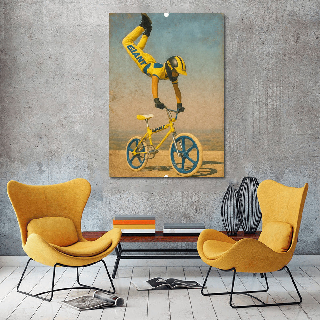 Dynamics of Extreme: BMX Flight
