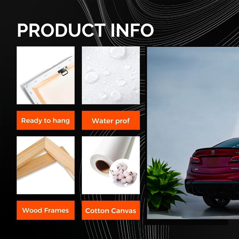 Acura TLX PMC Edition Parking - Sleek and Stylish Ride