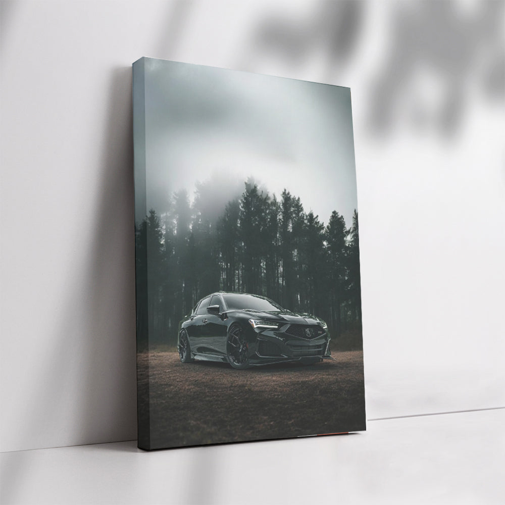 Acura TLX Amidst Forest Mist - Elegance in Motion