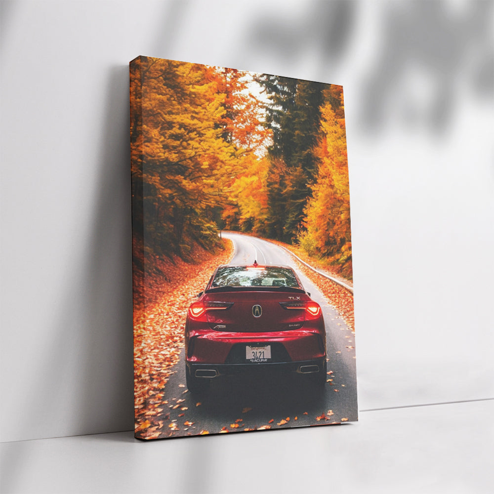 Acura TLX in Autumn Woods - Elegance Meets Performance