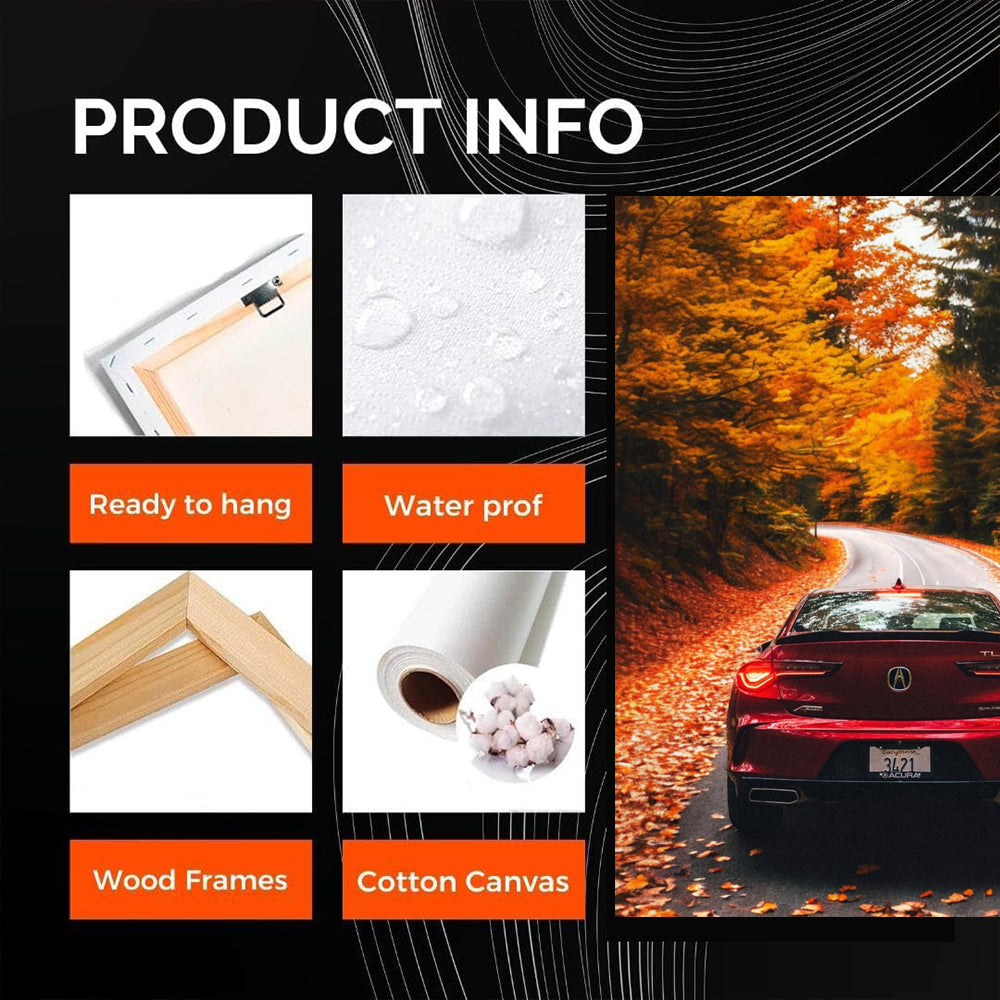 Acura TLX in Autumn Woods - Elegance Meets Performance