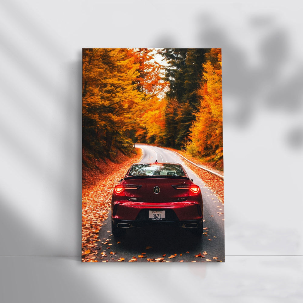 Acura TLX in Autumn Woods - Elegance Meets Performance