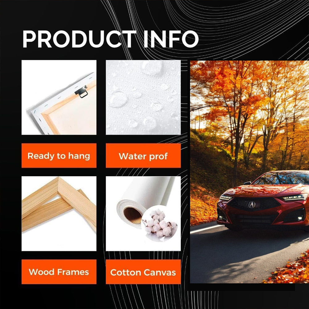 Acura TLX in Autumn Woods - Elegant Performance Redefined