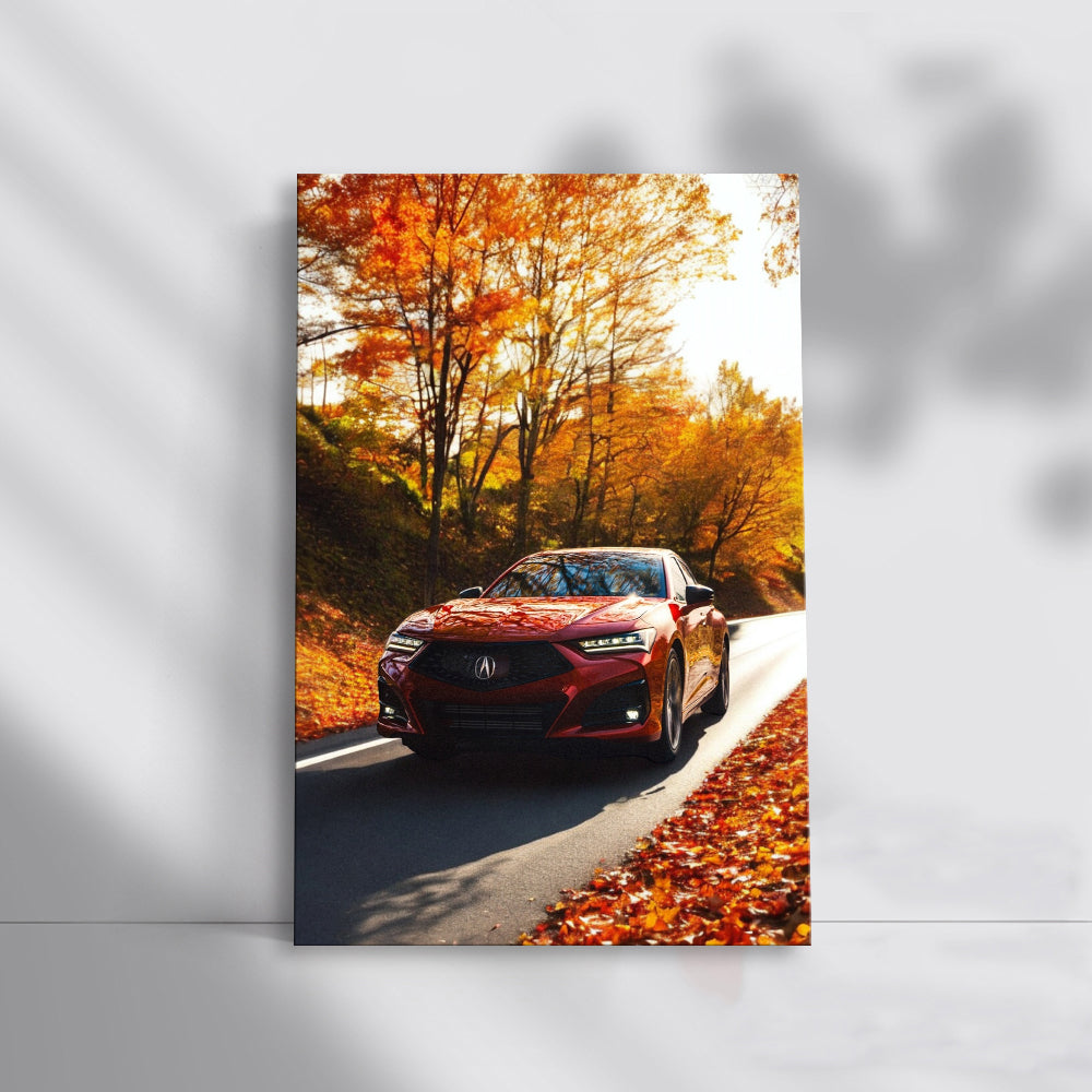 Acura TLX in Autumn Woods - Elegant Performance Redefined