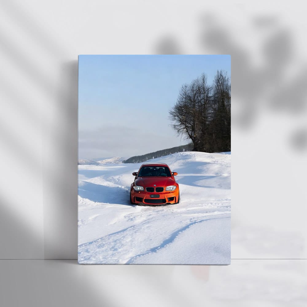 Vibrant Orange BMW 1M - Compact Powerhouse in Motion