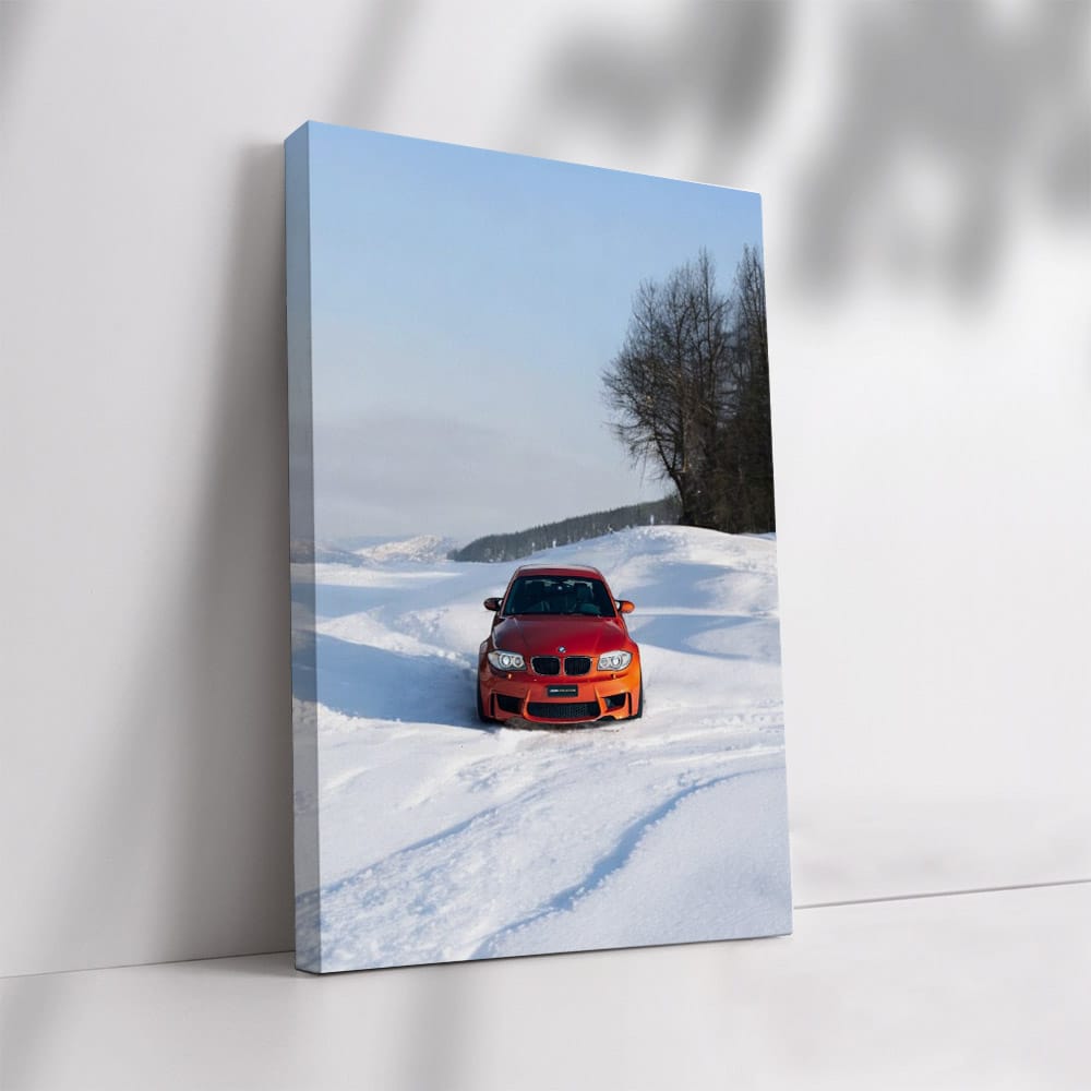 Vibrant Orange BMW 1M - Compact Powerhouse in Motion