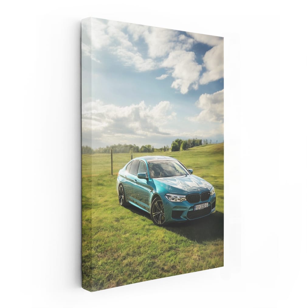 BMW F90 M5 on Grass Field - Pre-Restyling Powerhouse