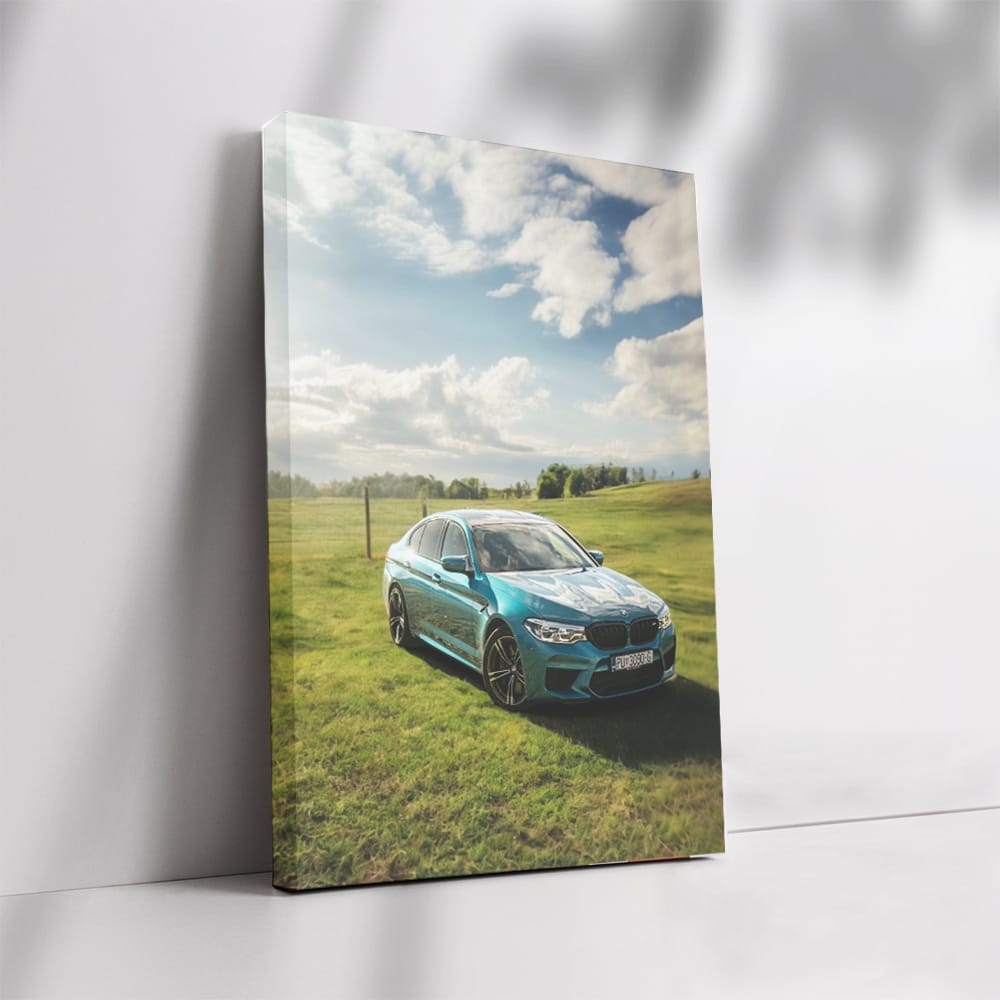 BMW F90 M5 on Grass Field - Pre-Restyling Powerhouse