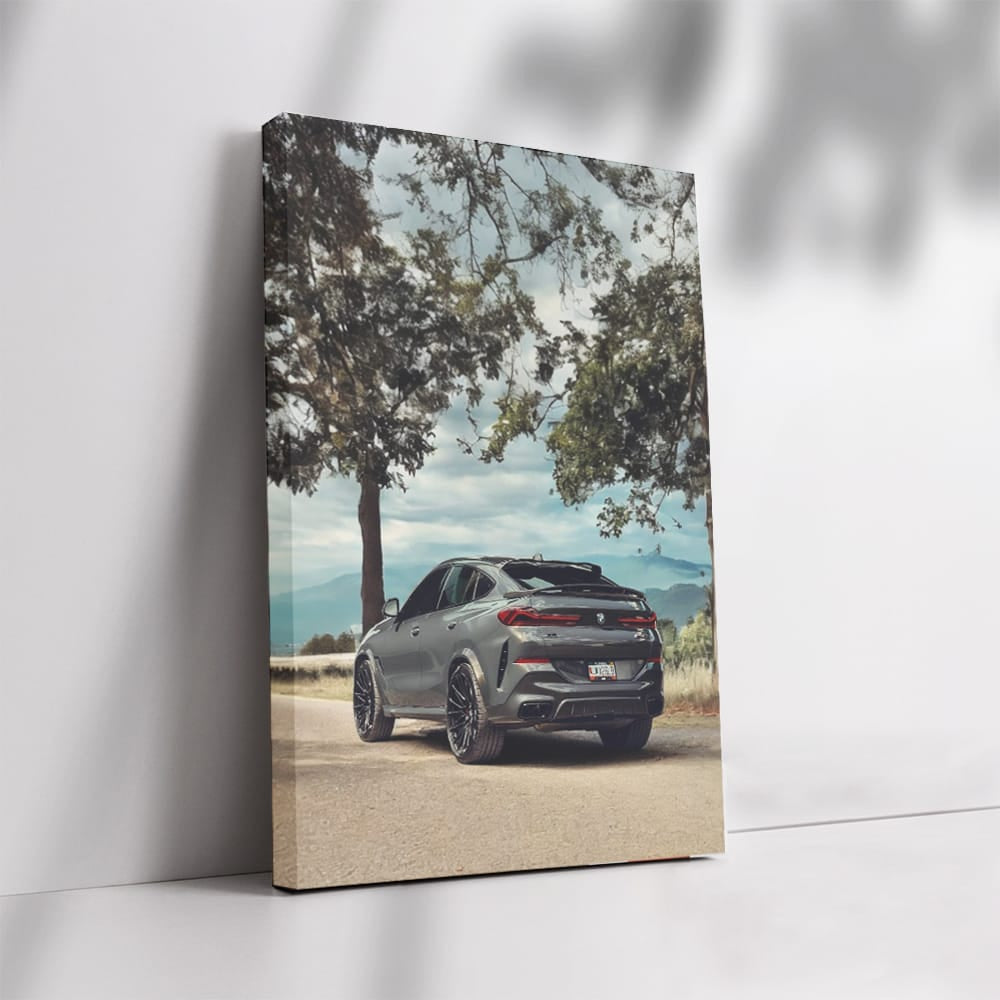 Sleek Grey BMW X6 - Dynamic Power and Elegance