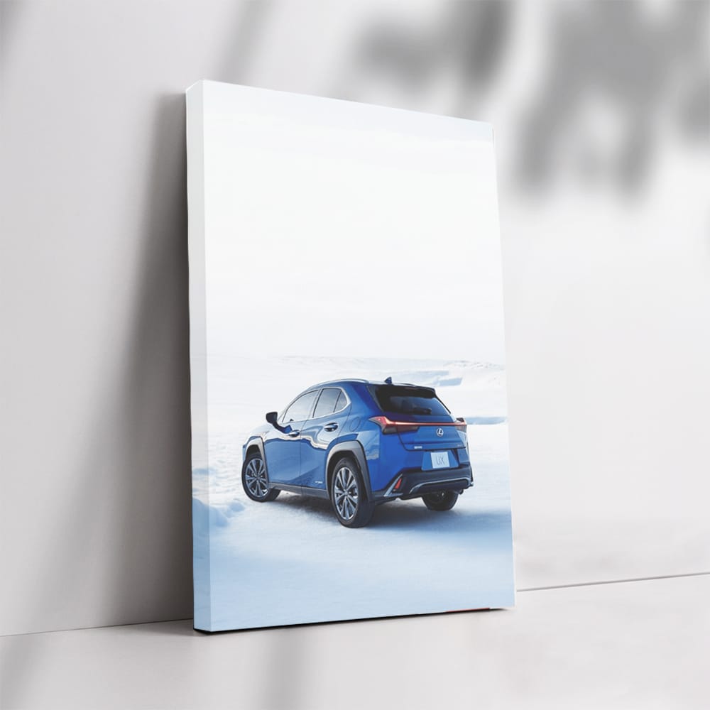 Blue Lexus UX in Winter - Stylish and Bold Adventure