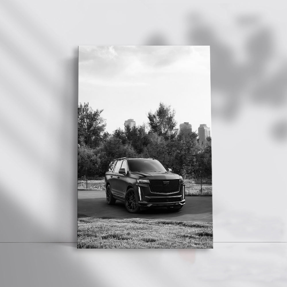 Cadillac Black & White 2 - Classic Elegance in Motion
