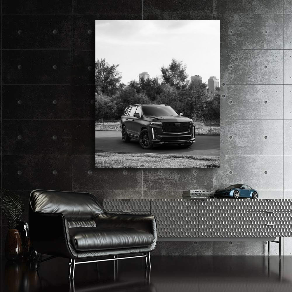 Cadillac Black & White 2 - Classic Elegance in Motion