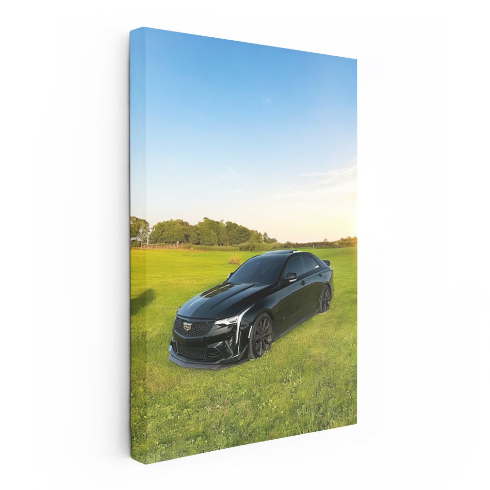 Black Cadillac in Field - Elegance and Power