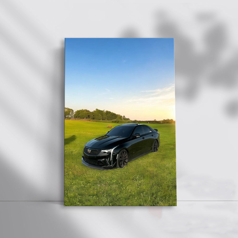 Black Cadillac in Field - Elegance and Power