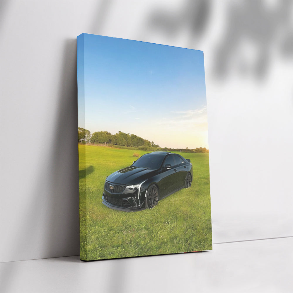 Black Cadillac in Field - Elegance and Power