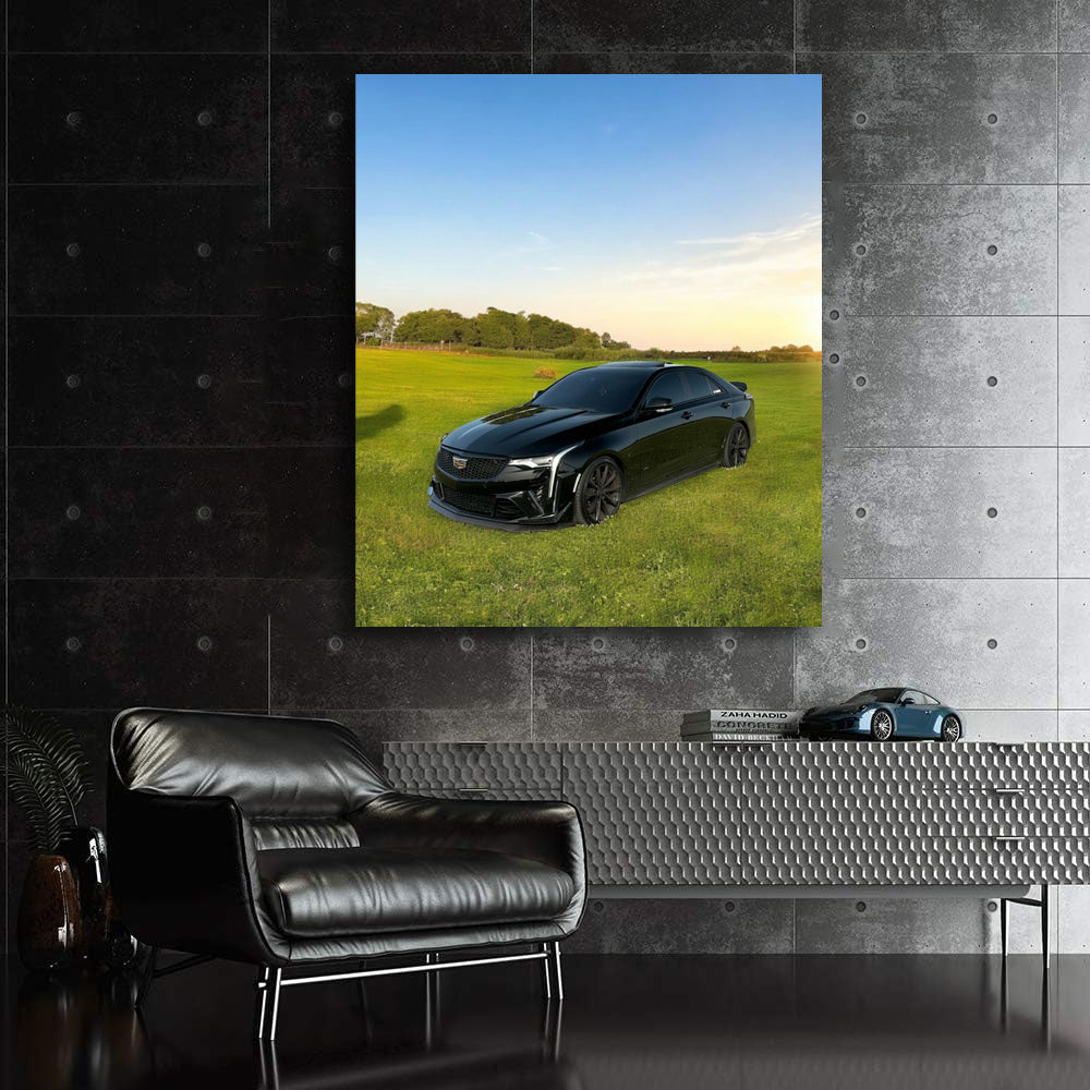 Black Cadillac in Field - Elegance and Power