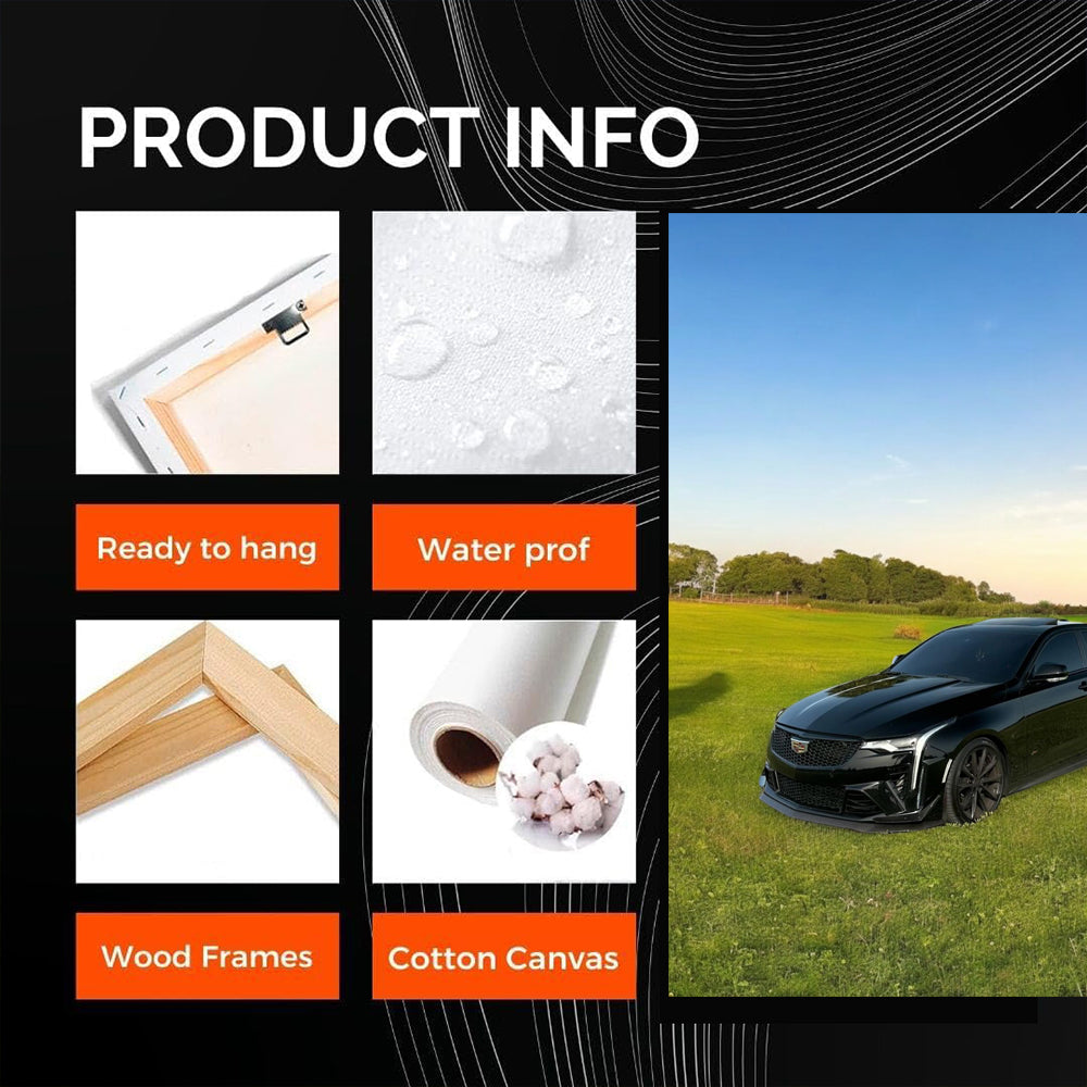 Black Cadillac in Field - Elegance and Power