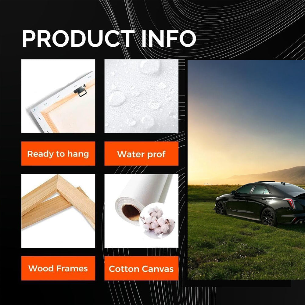 Sleek Black Cadillac in Field - Timeless Elegance