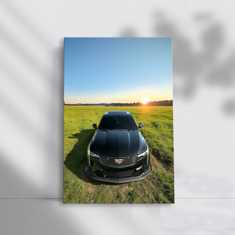 Black Cadillac in Field - Bold, Sleek, and Luxurious