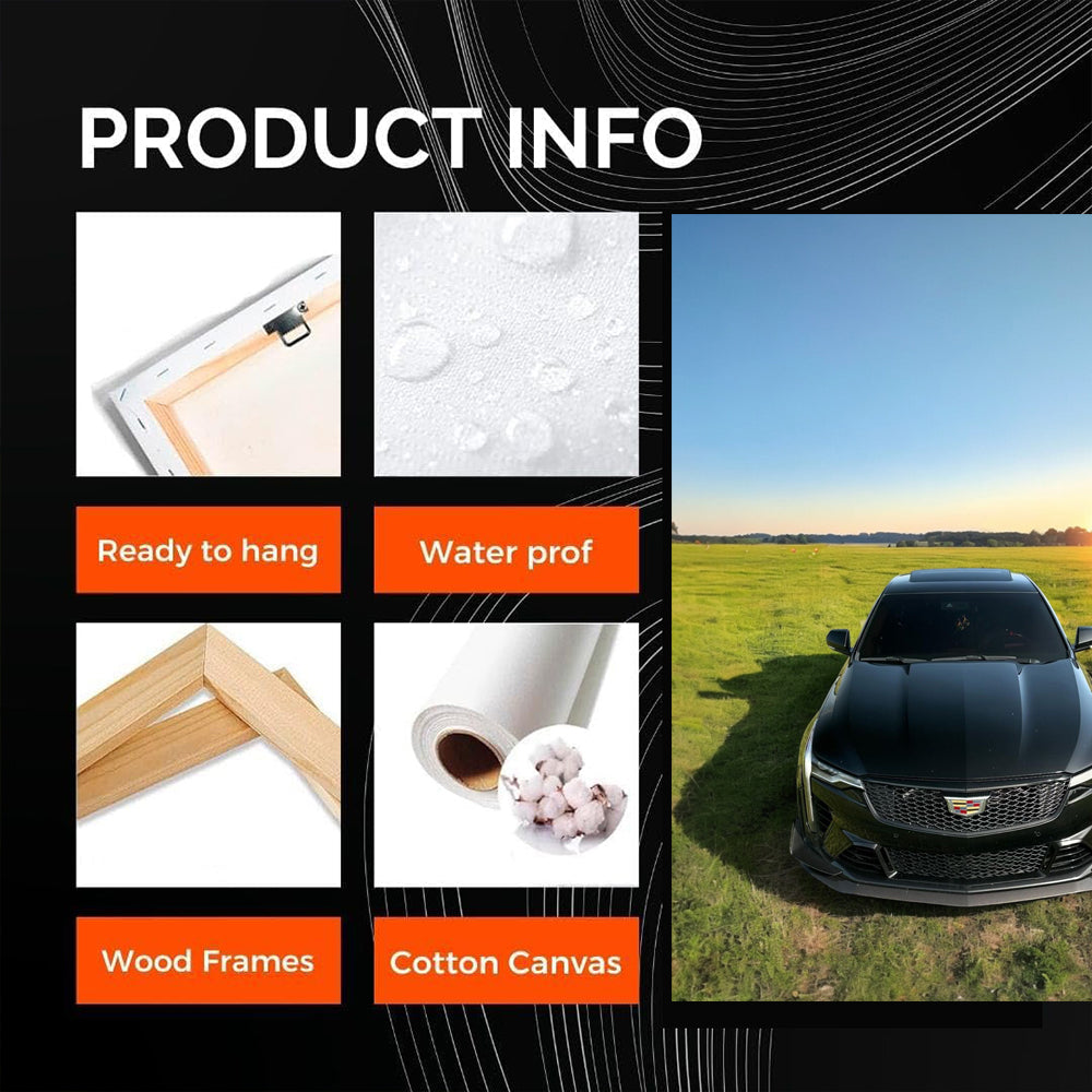 Black Cadillac in Field - Bold, Sleek, and Luxurious