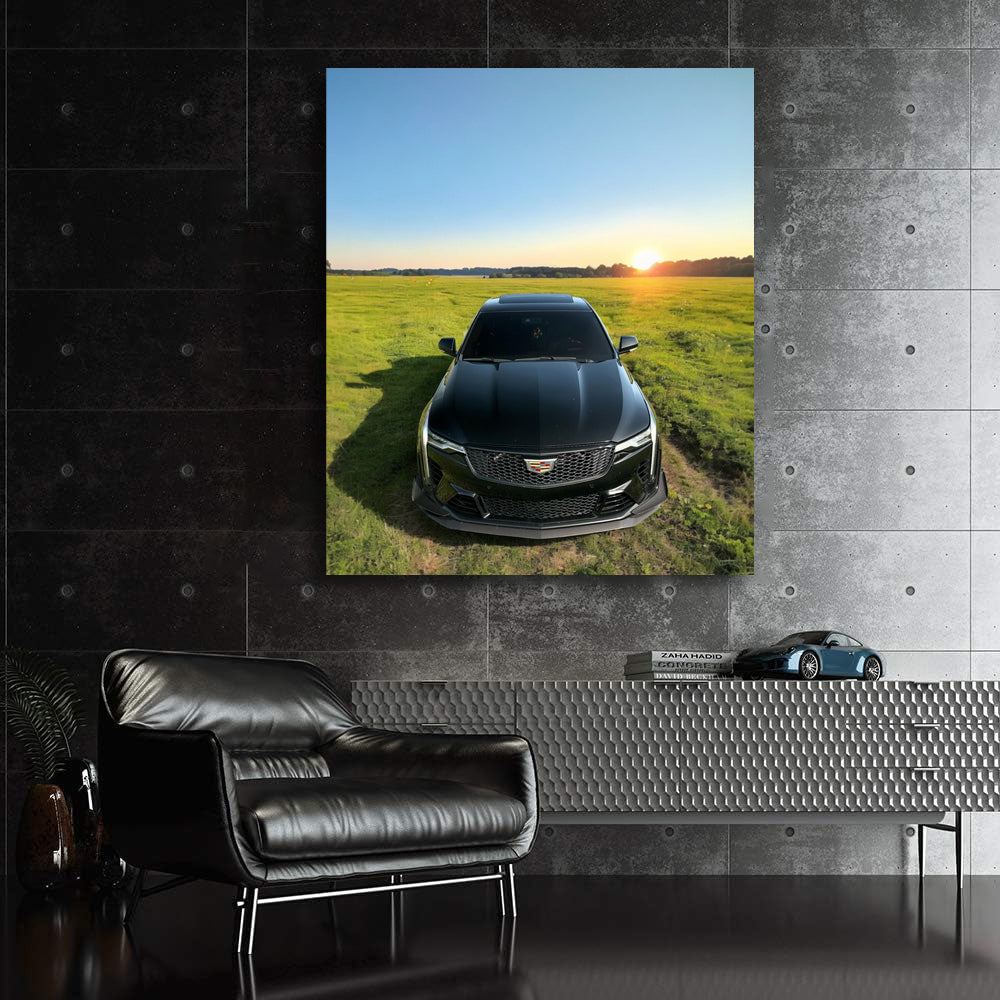 Black Cadillac in Field - Bold, Sleek, and Luxurious
