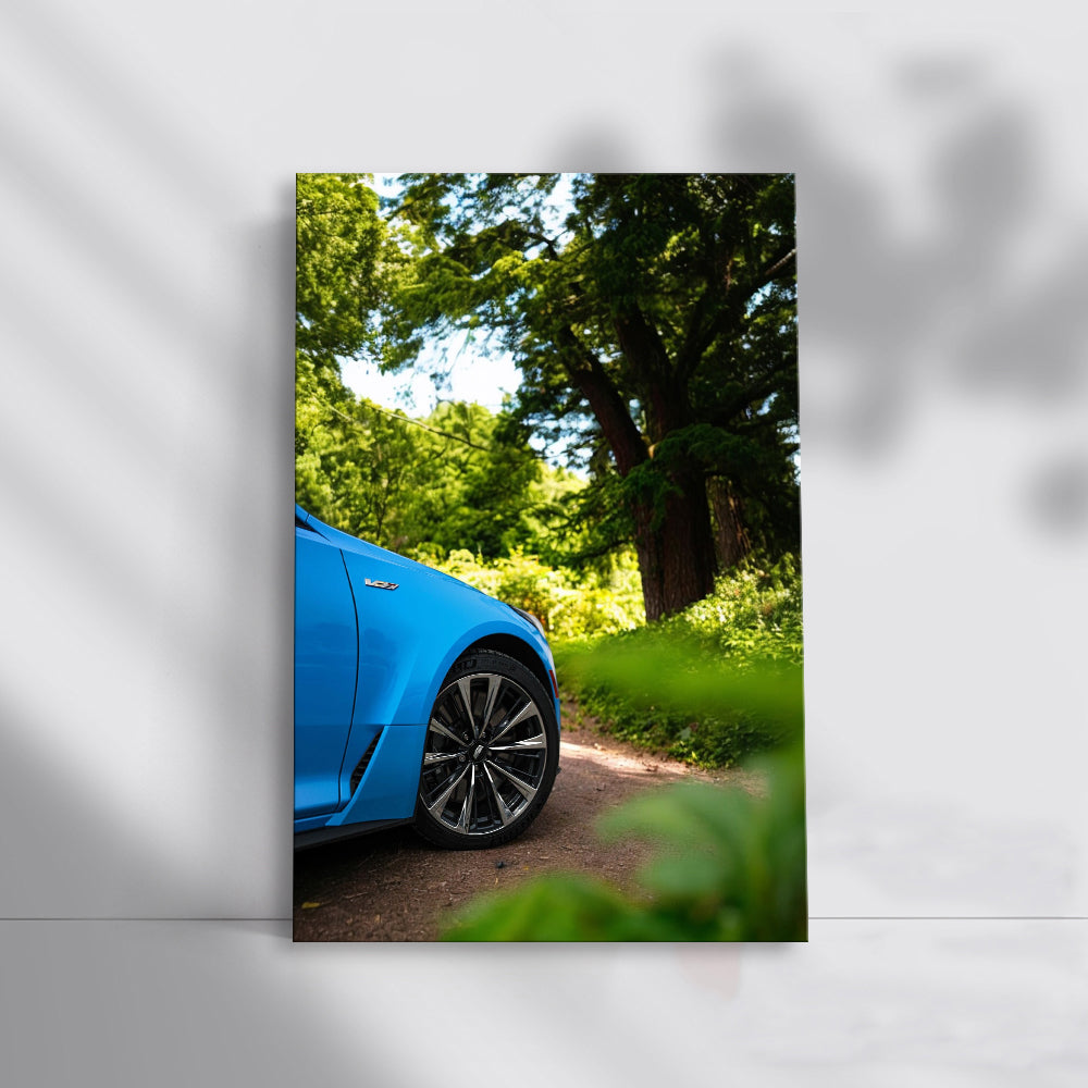 Cadillac Blue Amidst Trees - Vintage Elegance