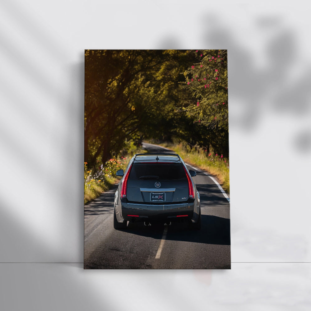 Cadillac Navigates Forest Roads - Luxury in Motion