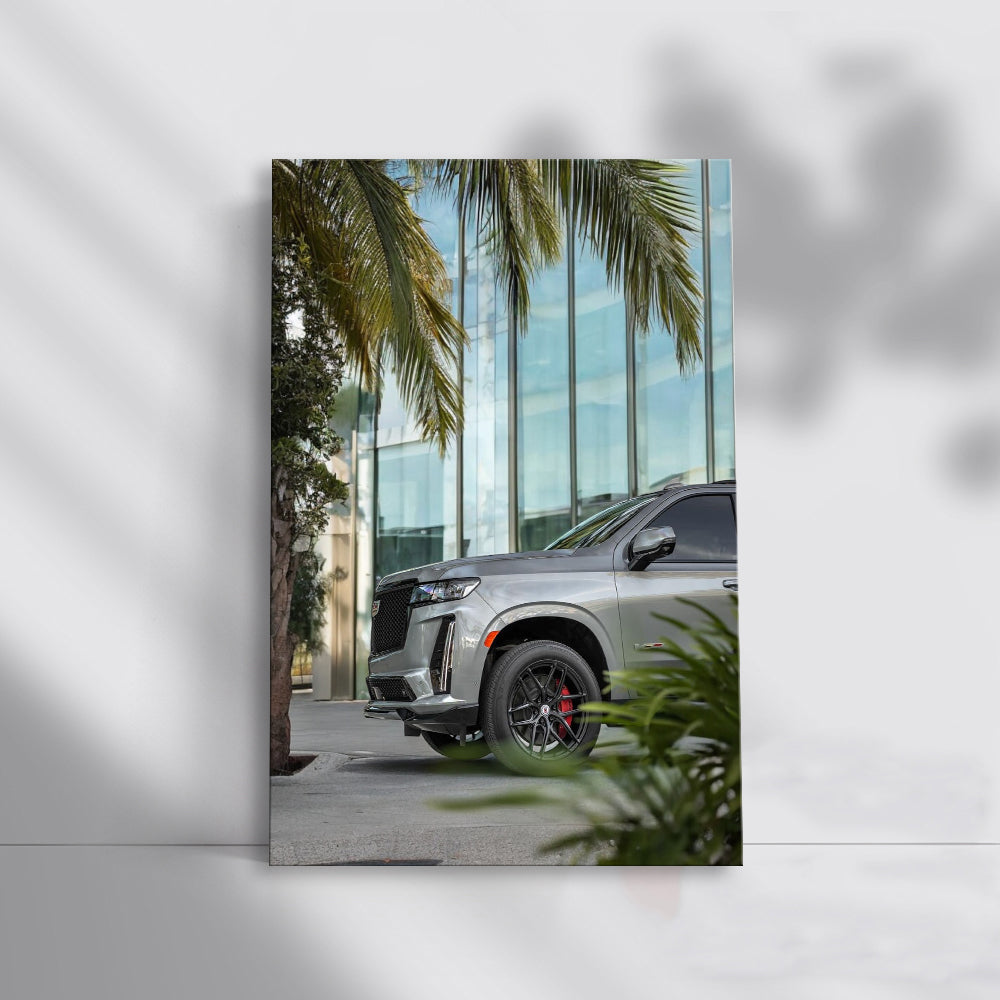 Cadillac in Gray beneath Palm Tree - Classic Elegance
